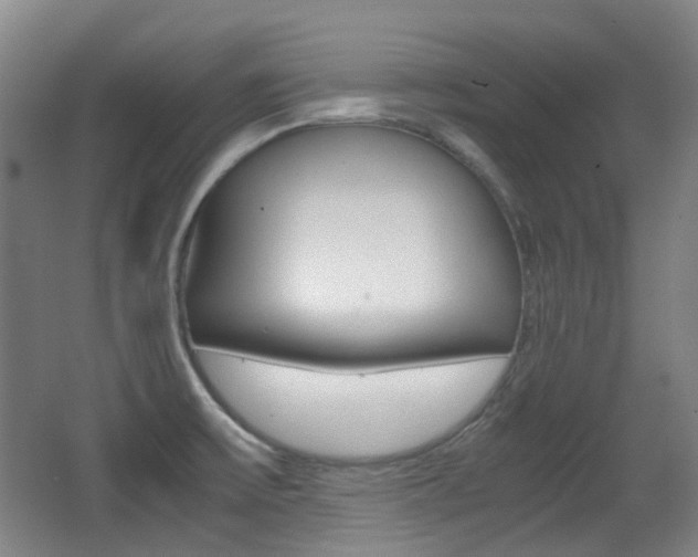 X0000062931475200601131101