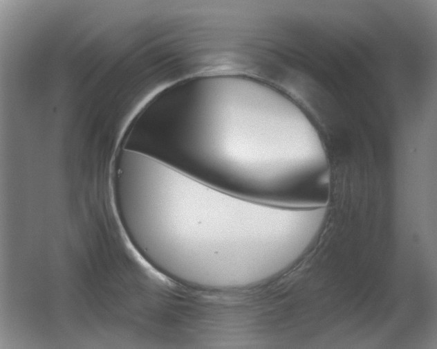 X0000062931476200601131101