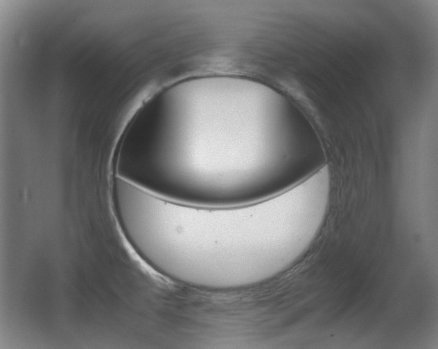 X0000062931479200601131101