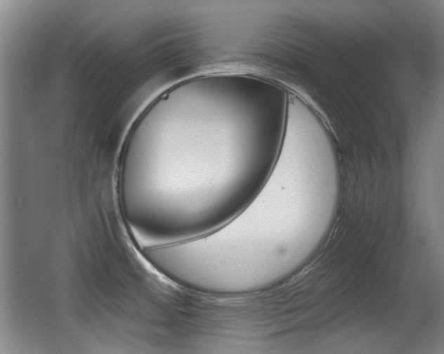 X0000062931484200601131101