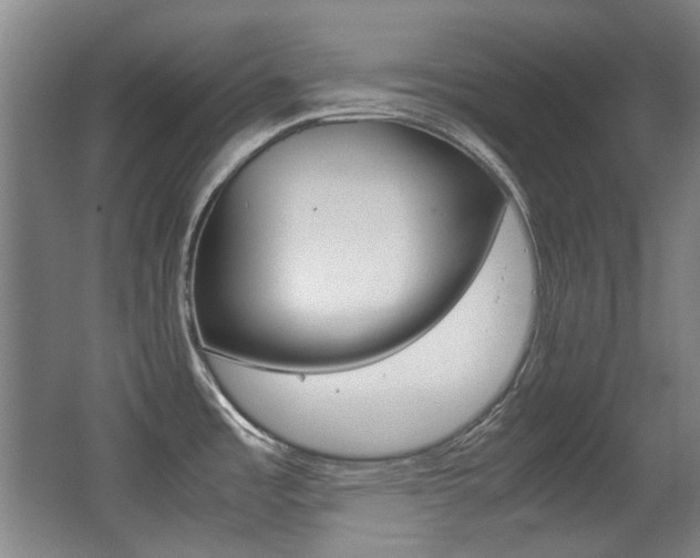 X0000062931485200601131101