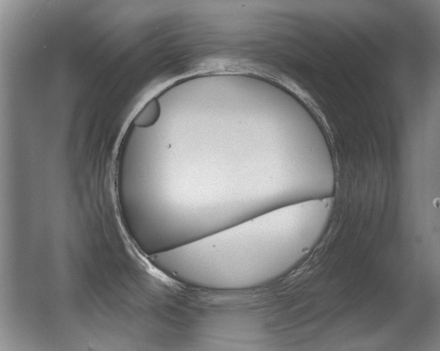 X0000062931486200601131101
