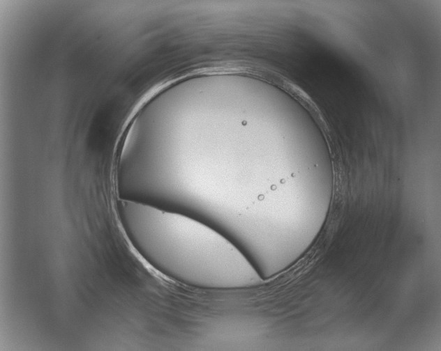 X0000062931487200601131101