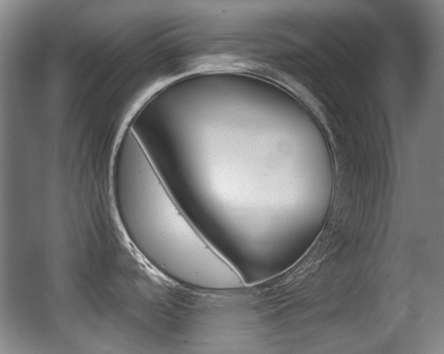 X0000062931488200601131101