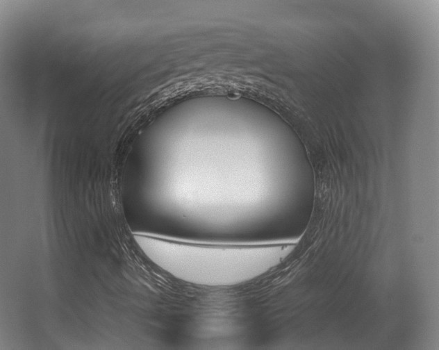 X0000062931490200601131100