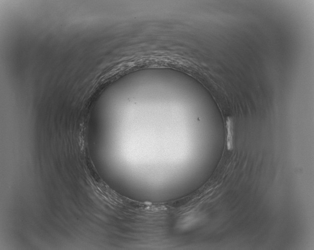 X0000062931491200601131100