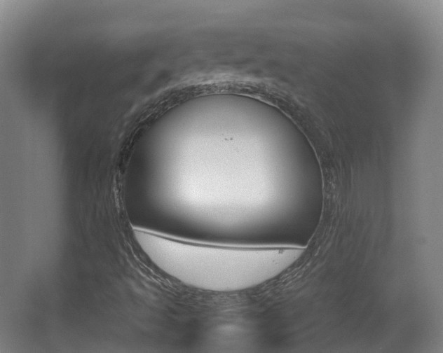 X0000062931493200601131100