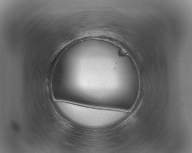 X0000062931497200601131100