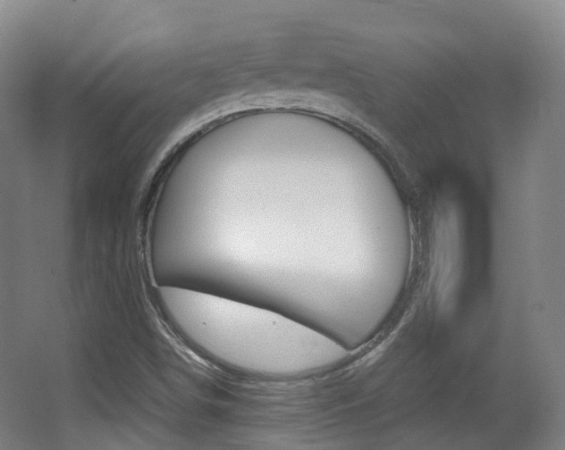 X0000062931498200601131100