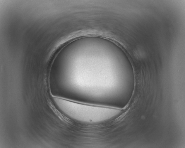 X0000062931499200601131100