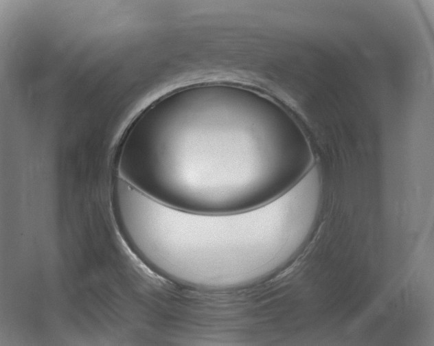 X0000062931500200601131100