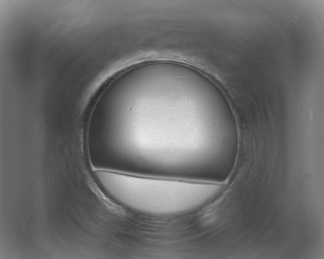 X0000062931503200601131100