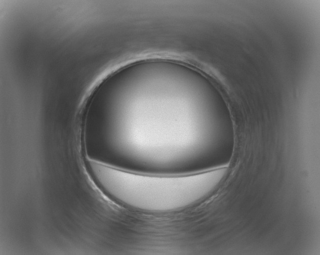 X0000062931504200601131100