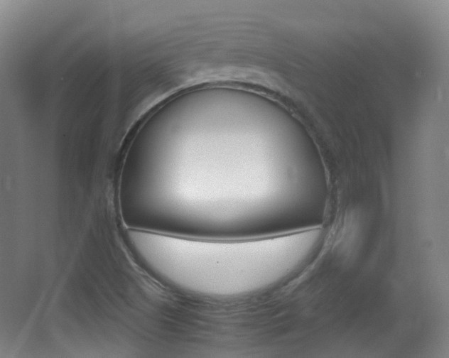 X0000062931505200601131100