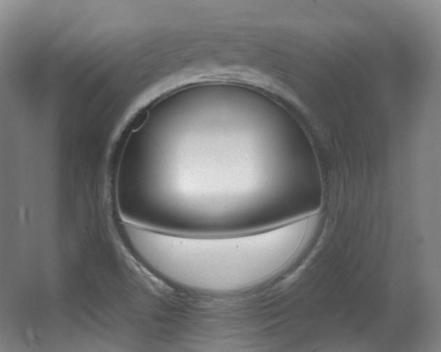 X0000062931506200601131100