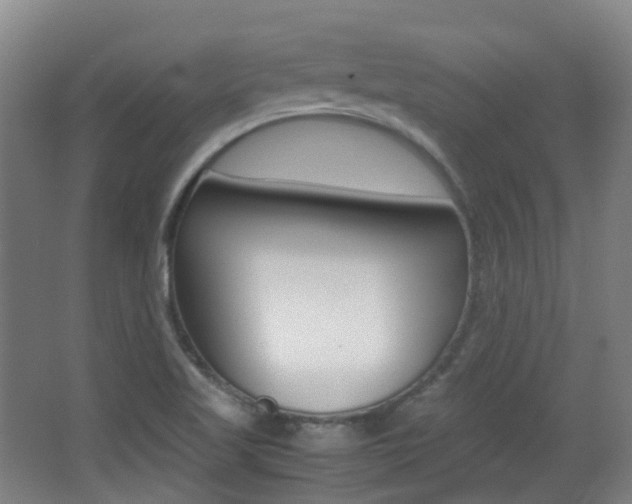 X0000062931509200601131100