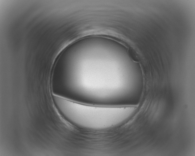 X0000062931513200601131100