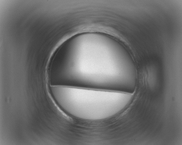X0000062931517200601131100