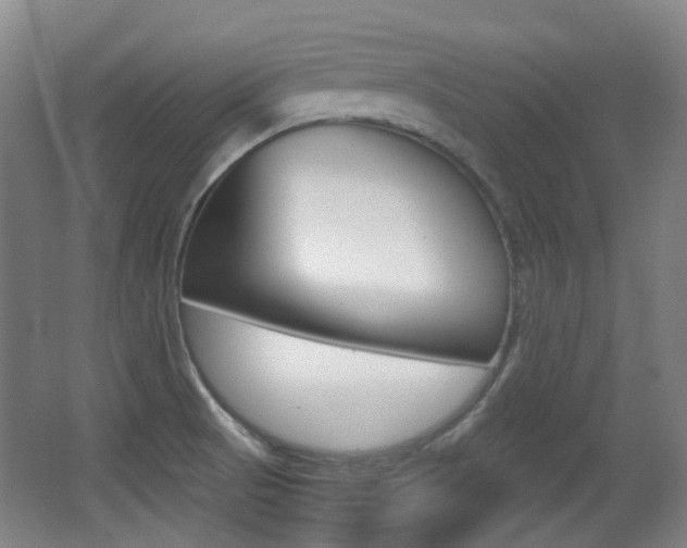 X0000062931521200601131100