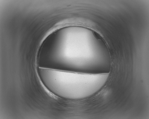 X0000062931523200601131100