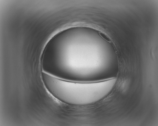 X0000062931527200601131100
