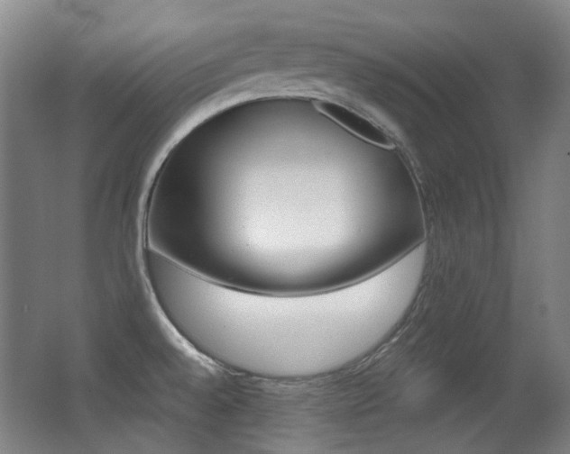 X0000062931528200601131101
