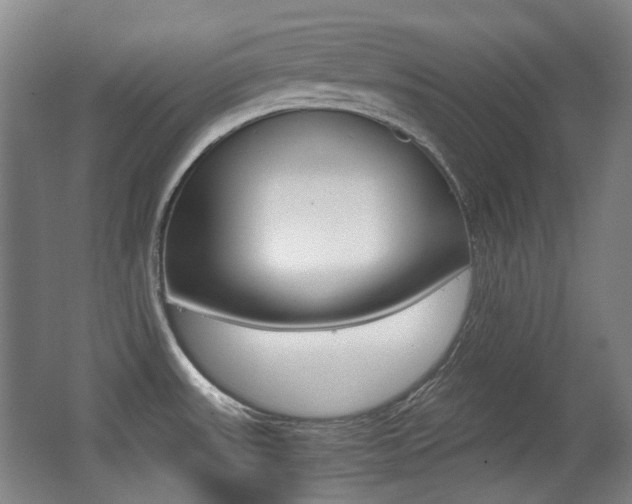 X0000062931531200601131101