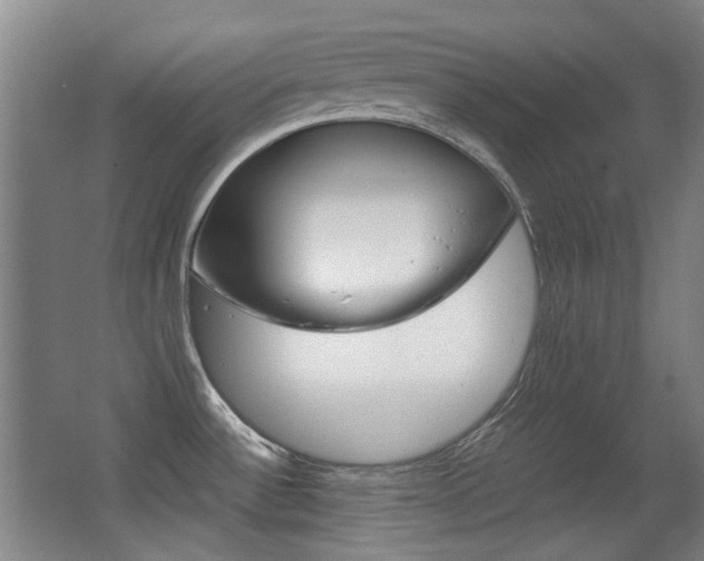 X0000062931532200601131101
