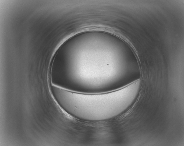 X0000062931533200601131101