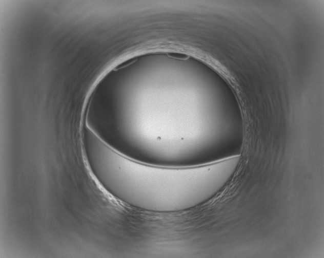 X0000062931536200601131101
