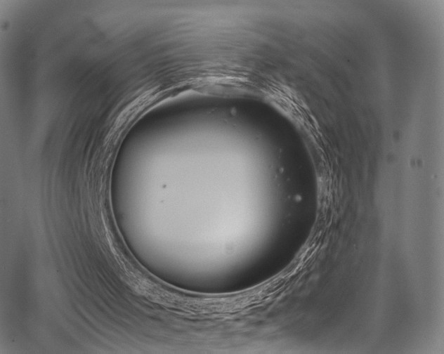 X0000062930001200601131523