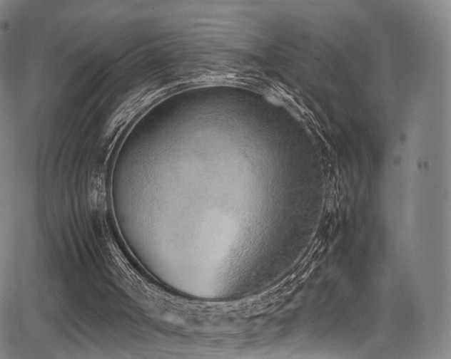 X0000062930002200601131523