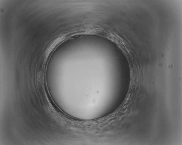 X0000062930003200601131523