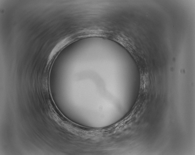 X0000062930004200601131523