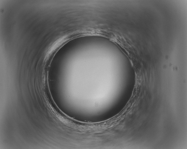 X0000062930005200601131523