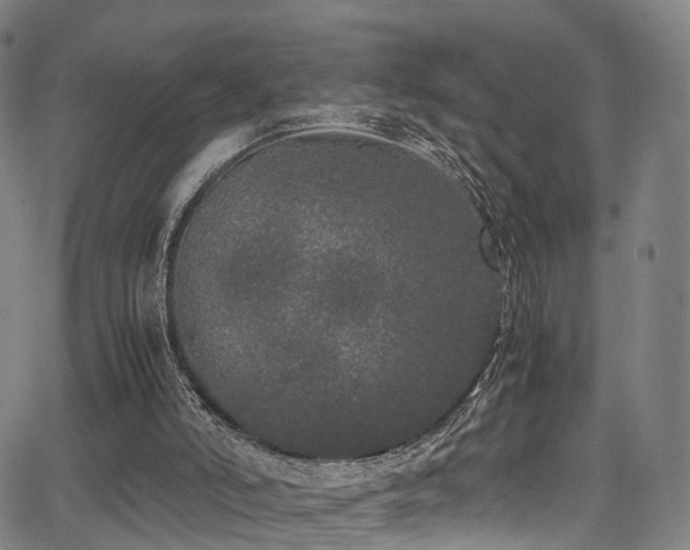 X0000062930006200601131523