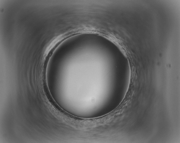 X0000062930007200601131523