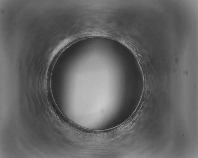 X0000062930008200601131523