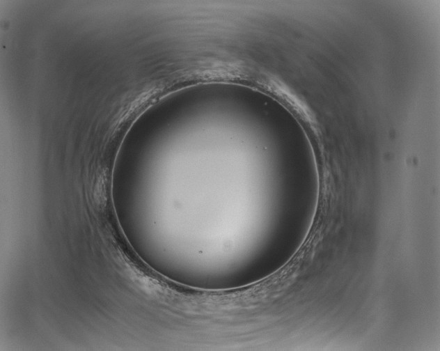 X0000062930009200601131523