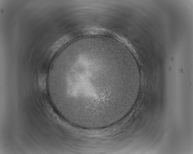 X0000062930010200601131523