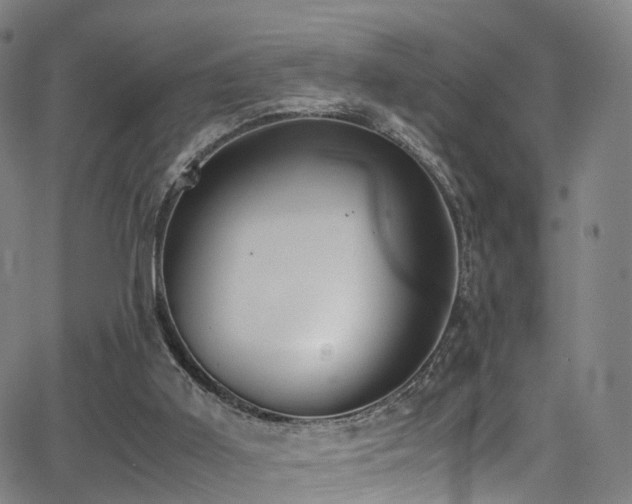 X0000062930011200601131523