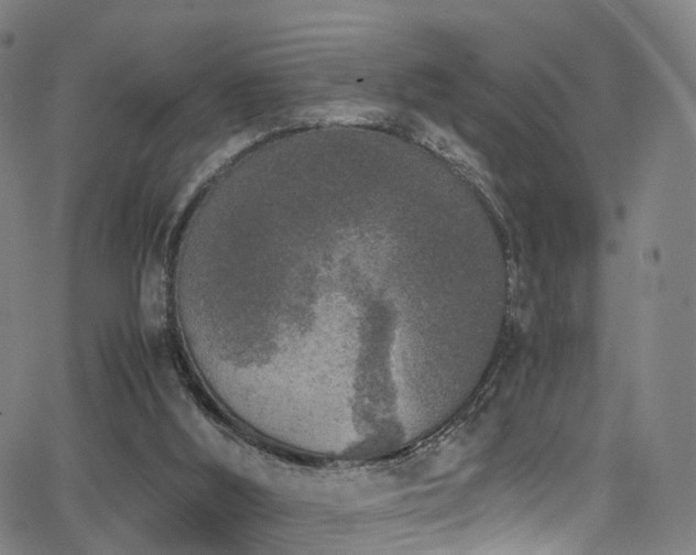 X0000062930012200601131523