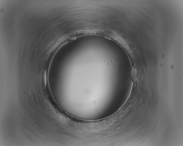 X0000062930013200601131523