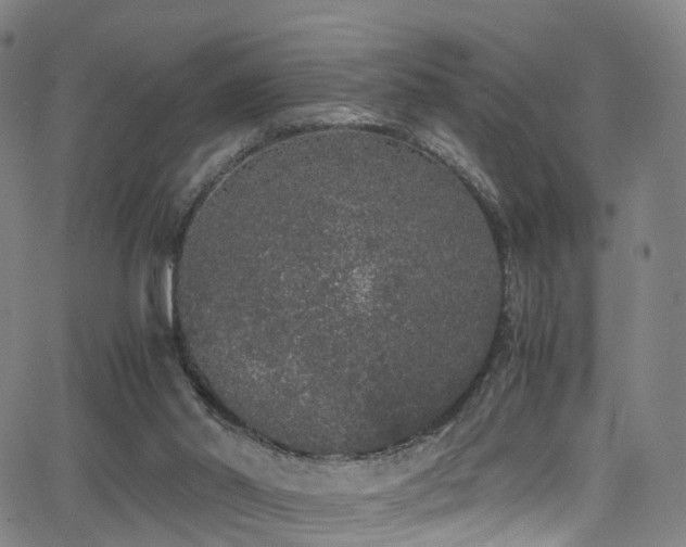 X0000062930014200601131523