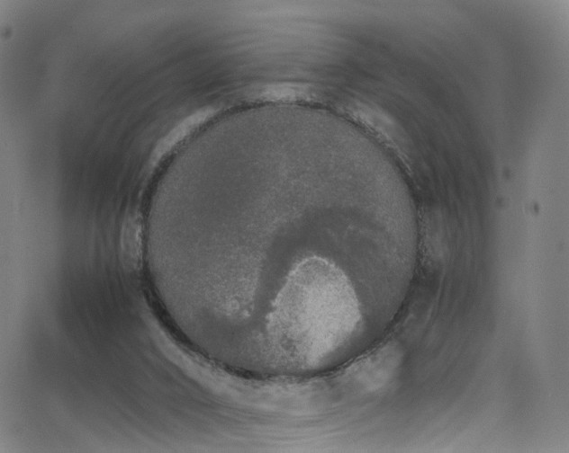 X0000062930016200601131523