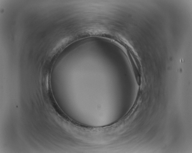 X0000062930019200601131523