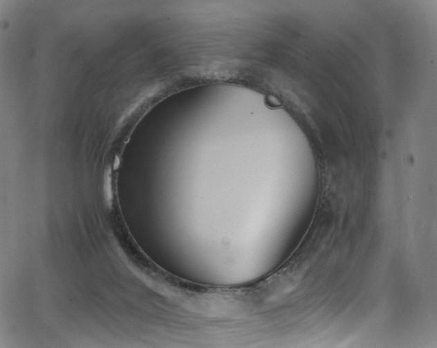 X0000062930020200601131523