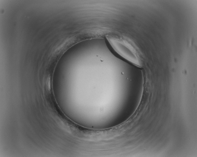 X0000062930021200601131523