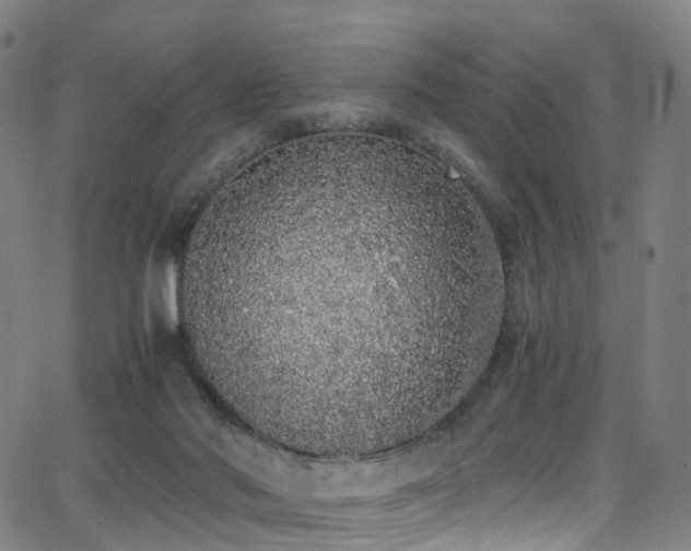 X0000062930022200601131523