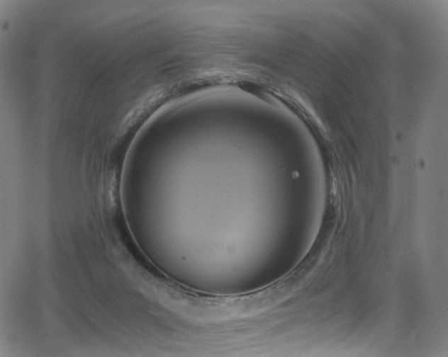 X0000062930023200601131523